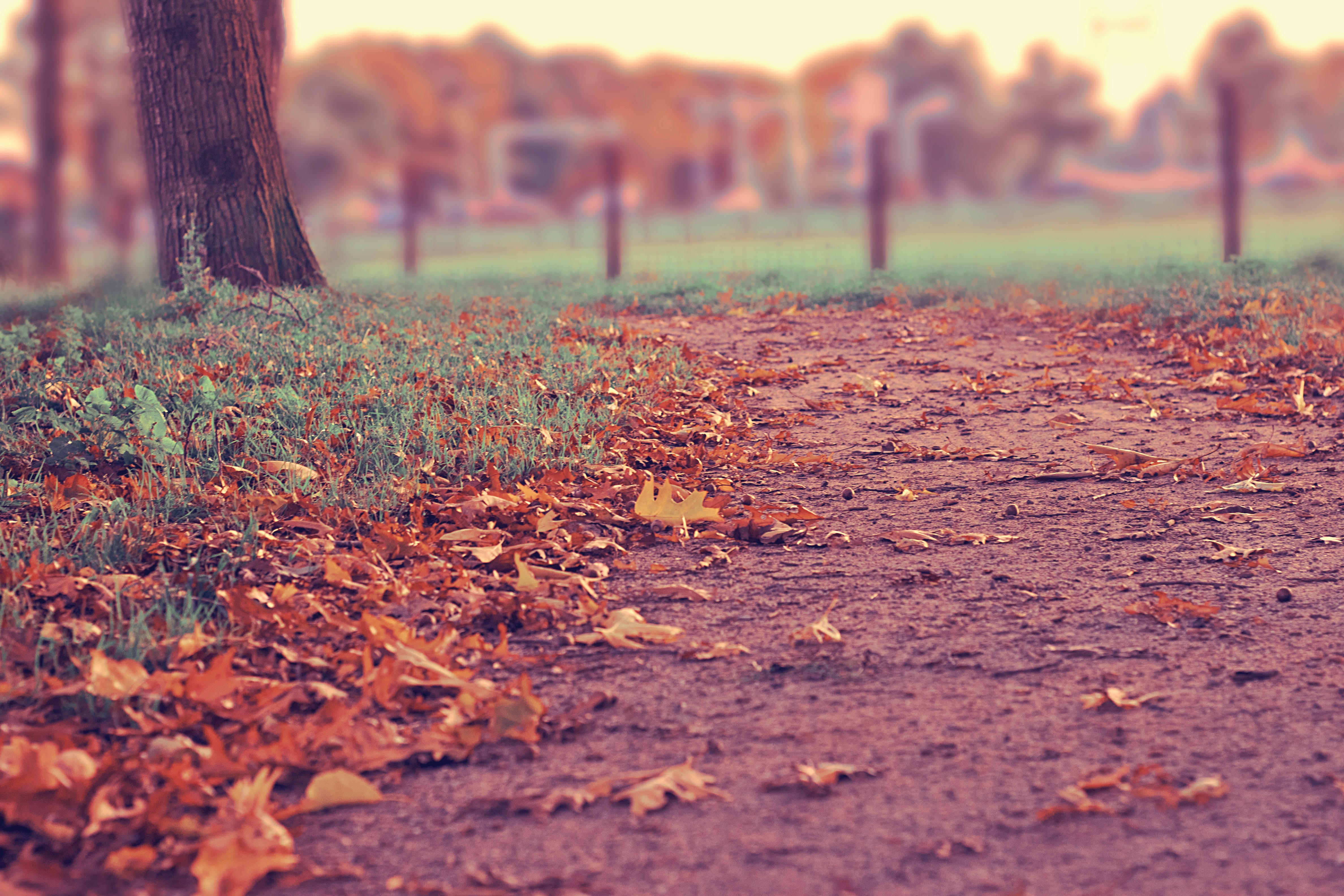 Daylight saving time autumn hi-res stock photography and images